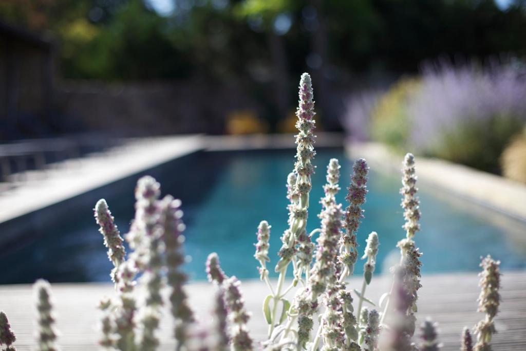 La Maison D'Ulysse Small Luxury Hotel Baron  Eksteriør billede